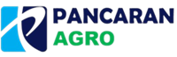 Logo Head Office